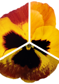 x00850.png