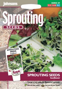 14272-sprouting-seeds-sunflower.jpg