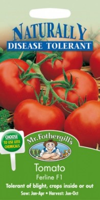 17066-tomato-ferline-f1.jpg