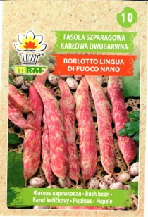 borlot.jpg