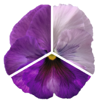 x01850.png