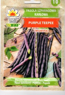 TR6991.jpg