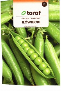 Ilowiecki.jpg