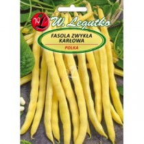 fasola-polka.jpg