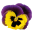 x0255.png