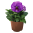 x0185.png