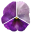 x01850.png