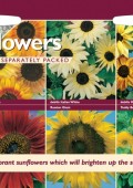 13971-sunflower-collection.jpg