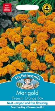 13533-marigold-french-orange-boy.jpg