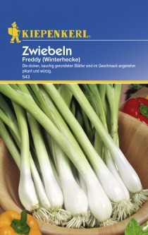 543-zwiebeln-freddy-winterhecke-4000159005433-vs59377ba8c822b.jpg