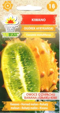tr6151.jpg