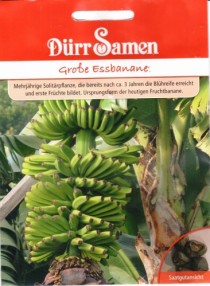 bananai.jpg