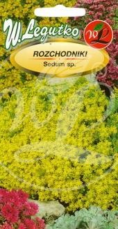 sedum-1.jpg